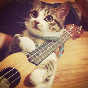 江疏影做爰高潮全过程
